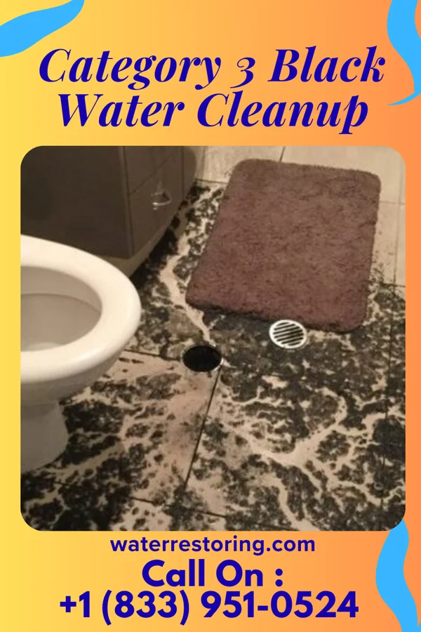 Category 3 Black Water Cleanup in Mount Sterling, OH