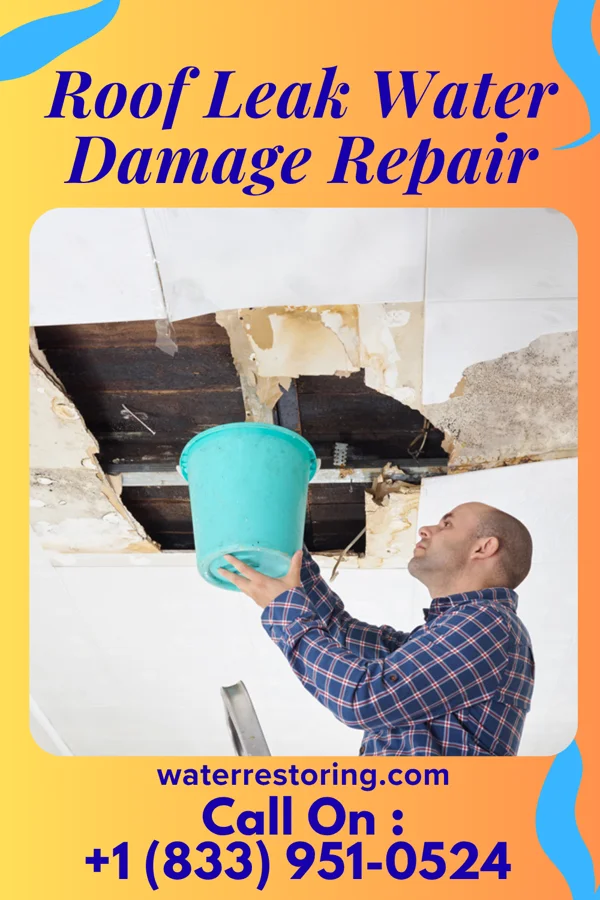 Roof Leak Water Damage Repair in Mount Sterling, OH