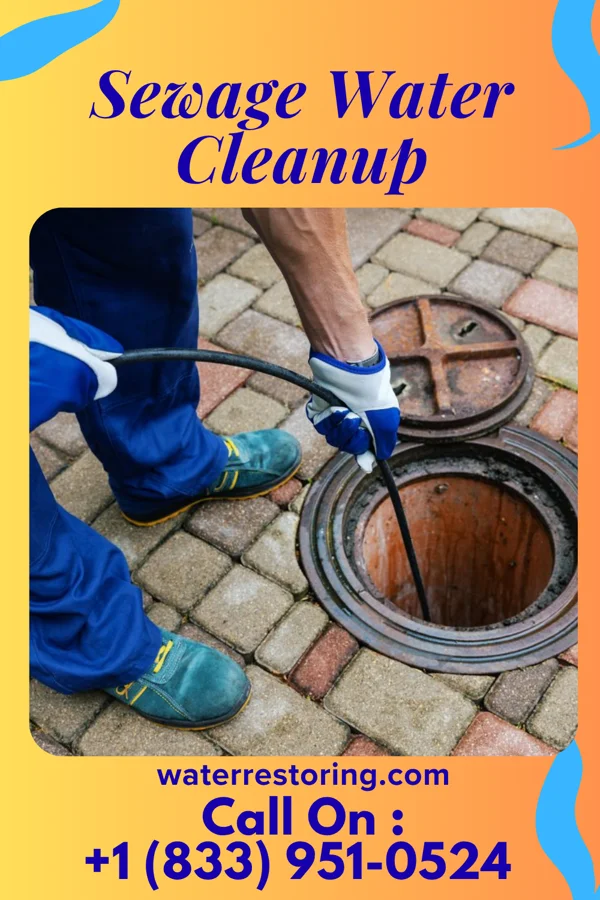 Sewage Water Cleanup in Mount Sterling, OH